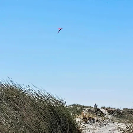 בית נופש 487-hvide-sande-strandkrogvejen-3 *