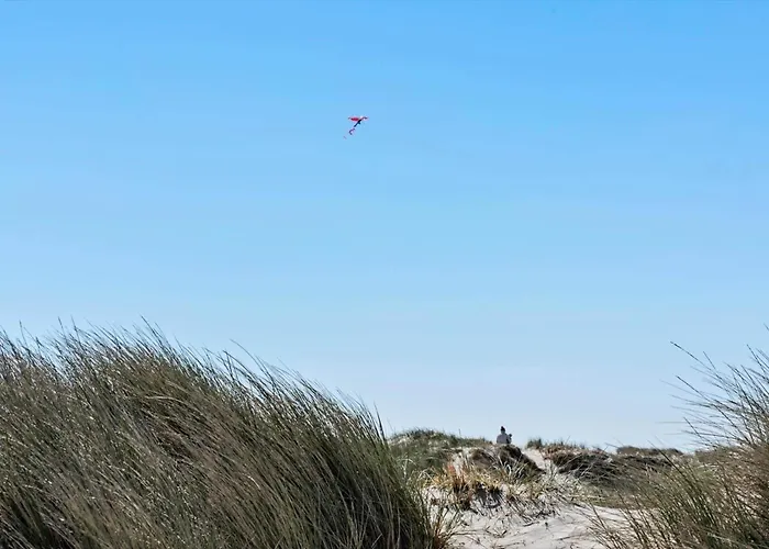بيت للعطل 487-hvide-sande-strandkrogvejen-3 *